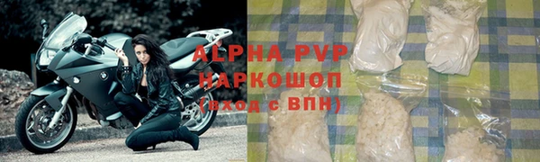 крисы Баксан