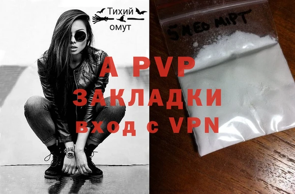 крисы Баксан