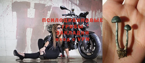 крисы Баксан